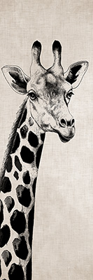Image Not Available